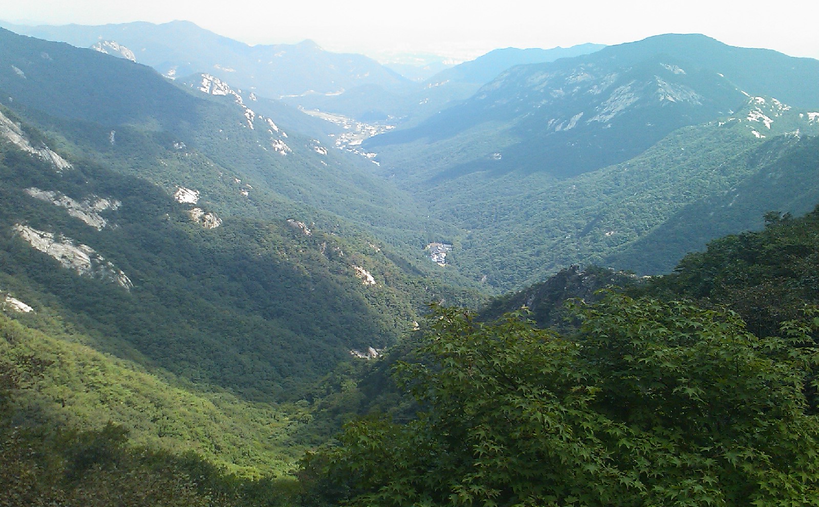 DSC_0012.jpg